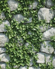 Serene stone wall adorned with vibrant green ivy creating a natural texture in a peaceful outdoor setting capturing the beauty of nature and rustic charm in a close up shot