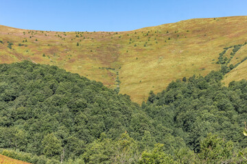 Borzhava mountain valley in the Carpathians