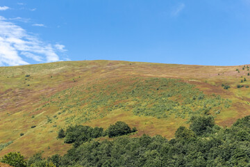 Borzhava mountain valley in the Carpathians
