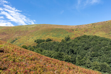 Borzhava mountain valley in the Carpathians