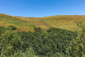 Fototapeta premium Borzhava mountain valley in the Carpathians