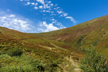 Borzhava mountain valley in the Carpathians