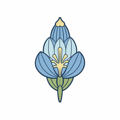 blue water lily