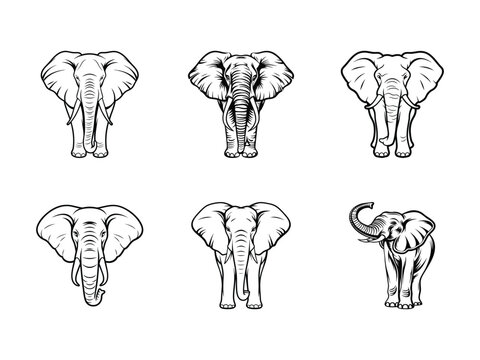 Collection of elephant front view heads silhouette isolated on white background