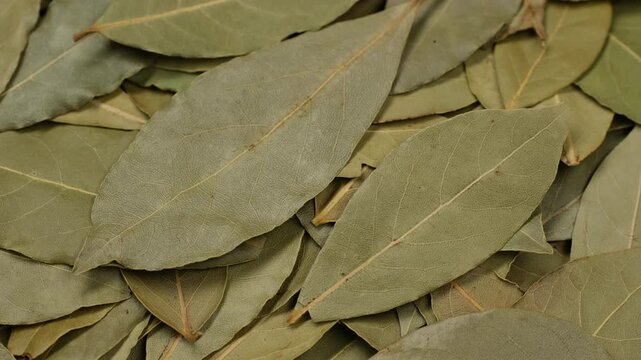 Heap of Dried bay leaves close up, slider shot
