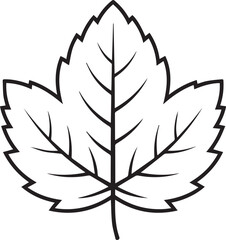 laurel wreath vector illustration