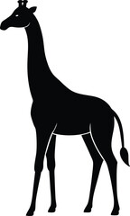 Giraffe icon black silhouette vector illustration on transparent background
