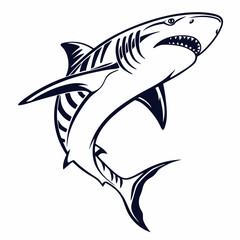shark vector illustration