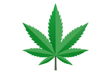 cannabis leaf vector illustration on white background, marijuana leaf icon vector