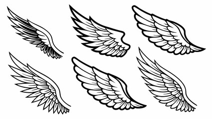 set of vector wings