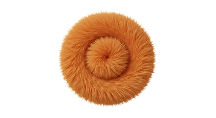 A fluffy orange spiral shape against a black background in a centered composition style image