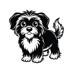 Cute Havanese dog with fluffy fur silhouette isolated on white background