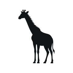 Giraffe Silhouette Standing Tall Vector Illustration Isolated On White Background African Wildlife Mammal Design Minimalist Style Graphic Design