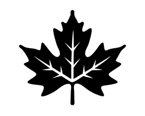 A clean vector illustration of Maple Leaf silhouette