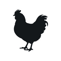 Black Silhouette Of A Chicken Poultry Bird Design For Farming Agricultural Projects And Decorative Purposes On White Background