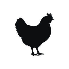 Elegant Chicken Silhouette Poultry Farm Bird Agriculture Vector Black And White Hen Clipart Graphic Minimalist Design Stock Image