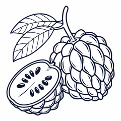 Fototapeta premium hand drawn vector illustration of fruits