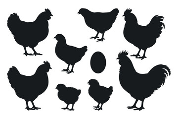 Chicken Silhouettes With Egg Isolated On White Background Vector Illustration Farm Animal Graphic Design Element Rustic Decoration Easter Symbol