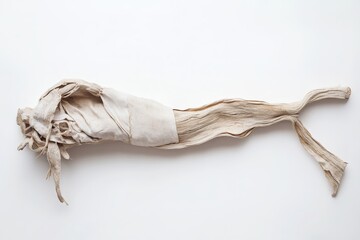 A light beige, organic form with textured lines and folds.