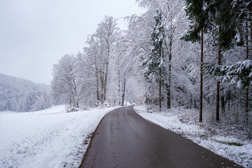 Obraz premium Snowy path through winter forest in early morning light inviting peaceful stroll and nature exploration