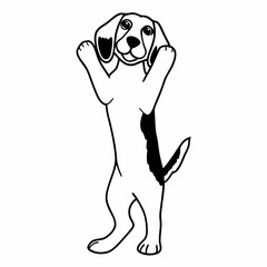 man with soccer ball