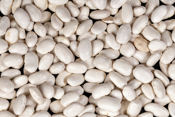 top view of uncooked dried white bean seeds completely filled frame