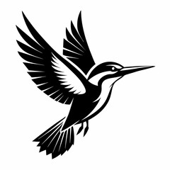 bird in flight