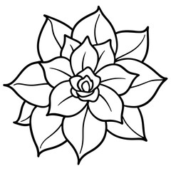 black and white flower