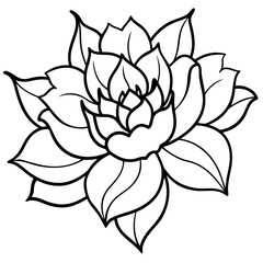 vector illustration of lotus flower