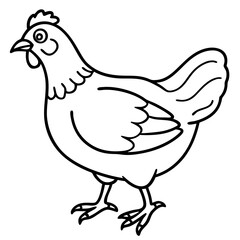 vector illustration of a chicken