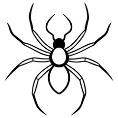 spider on a white background
