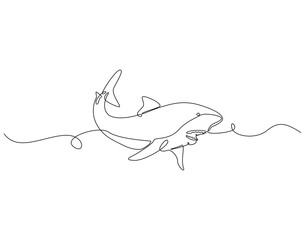 Continuous line drawing of shark fish. Single line illustration of shark fish swimming. Ocean predator fish concept. Editable outline