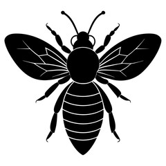 bee vector illustration