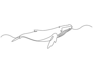 Continuous line drawing of blue whale. Single line illustration of blue whale swimming. Ocean mammal animal concept. Editable outline