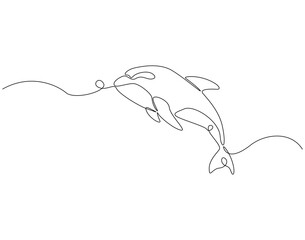 Continuous line drawing of orca whale. Single line illustration of killer whale. Predatory marine fish concept. Editable outline
