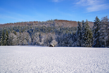 Snow-covered forest landscape with bright blue sky and distant hills during winter season