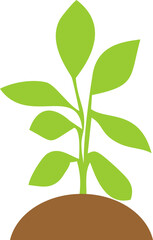 tree with green sprout