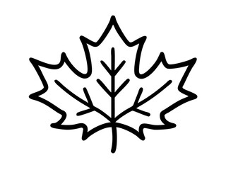 single and clean Maple Leaf line art vector illustration