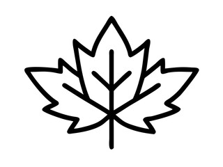 single and clean Maple Leaf line art vector illustration