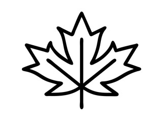 single and clean Maple Leaf line art vector illustration