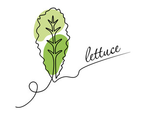Lettuce leaf - one line drawing.