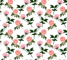 Floral seamless pattern with pink roses.