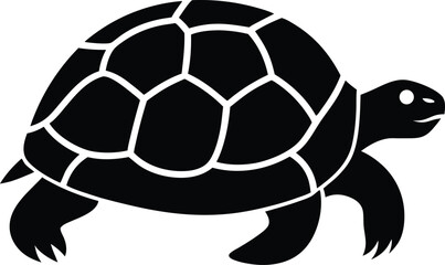 turtle vector illustration