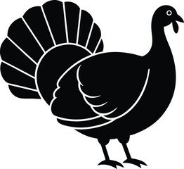 vector illustration of a turkey