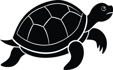 turtle vector illustration