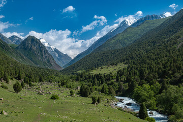 Wide angle mountain landscape lush green valley, forest, wild white water river surrounded by high mountains and glacier peaks in the background. Summer sunny day, blue sky. Kyrgyzstan, Central Asia.