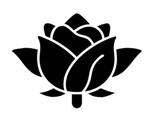 vector illustration of rose