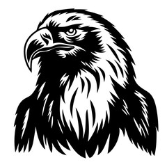 Striking Black and White Eagle Head Portrait with Intense Gaze and Detailed Plumage