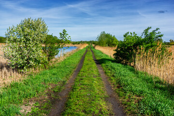 Obraz premium Wiosenny spacer w słońcu, Stawy Dolidzkie, Podlasie, Polska