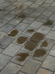 Benzin und Wasserflecken auf einem Parkplatz
